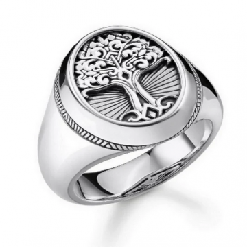Chevalière Homme – Arbre de Vie en Acier 316L